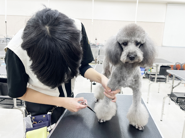 １年生のトリミング♪